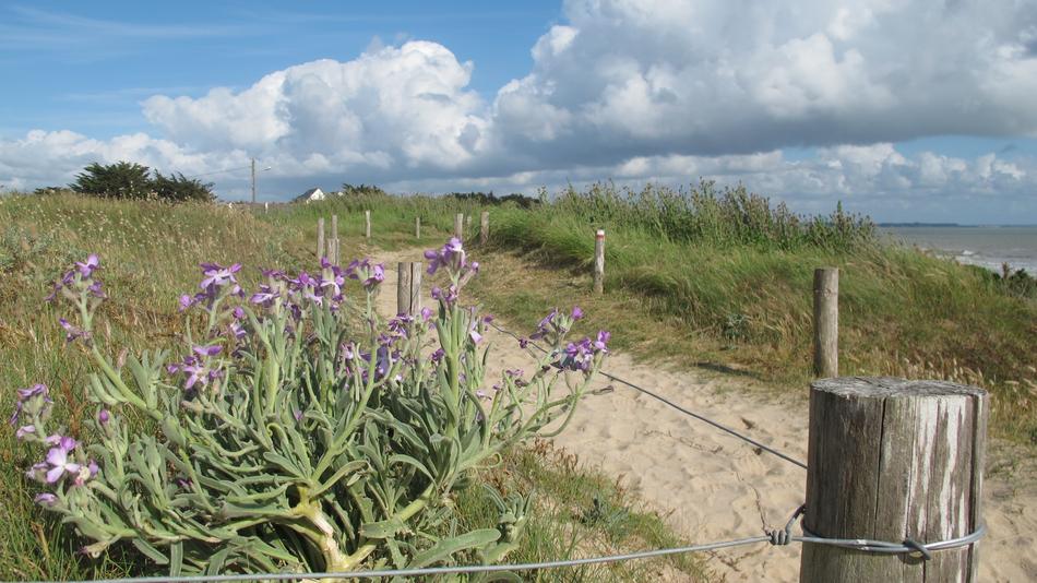 Dunes Sand Atlantic