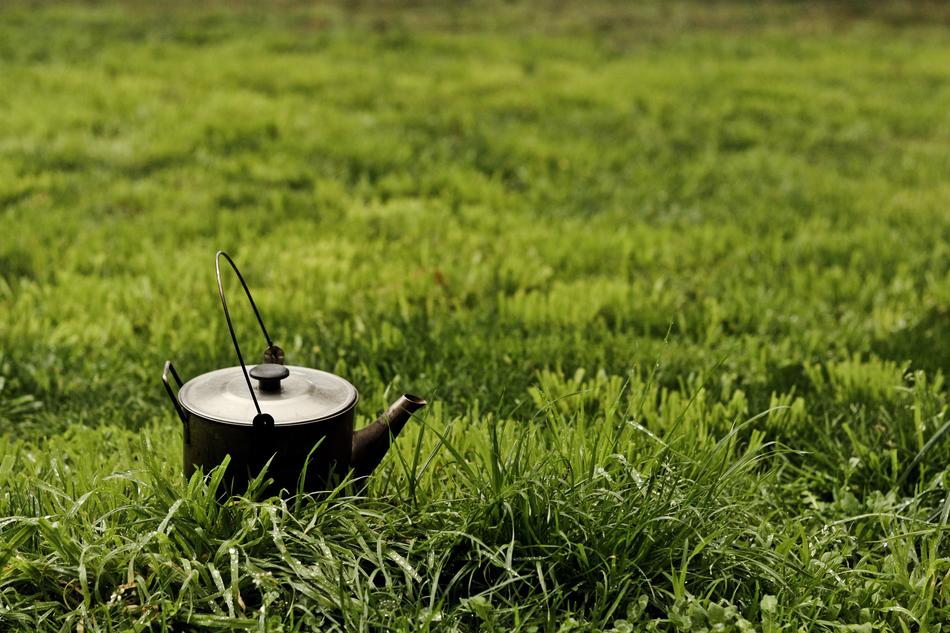 Kettle Outside Grass
