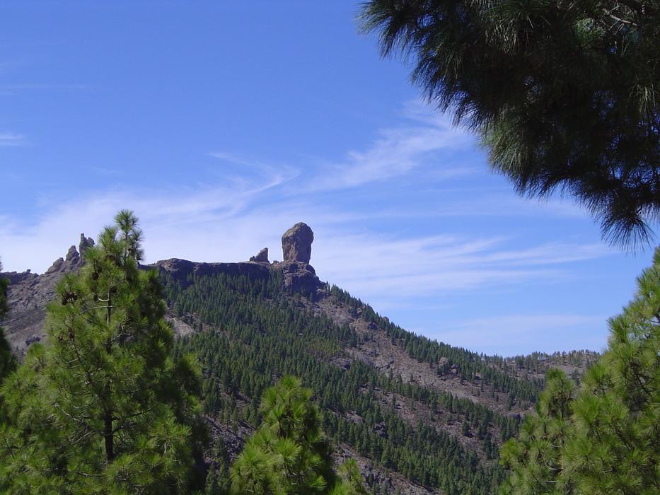 Roque Pine Gran