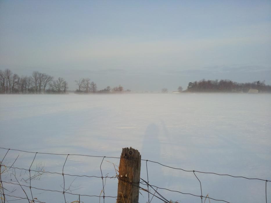 Winter Ottawa Foggy