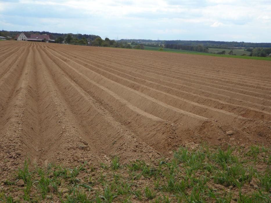 Ridge Arable Ackerfurchen