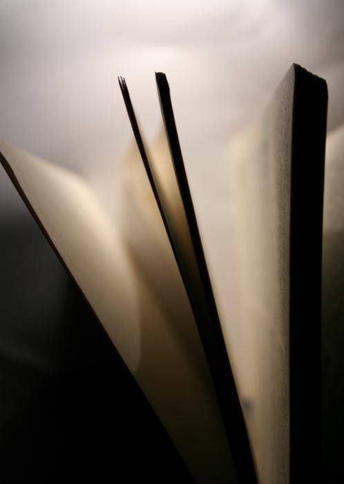 Book Pages Literature