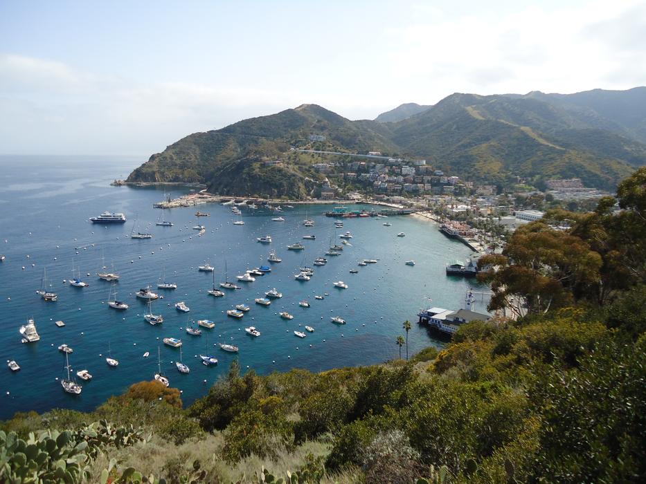 Catalina California