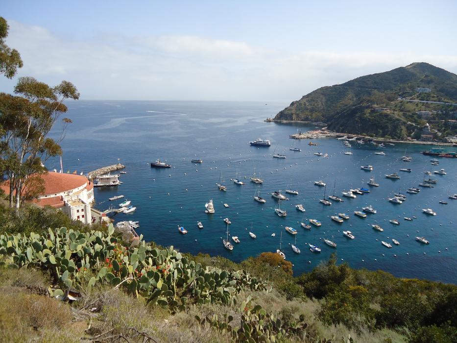 Catalina California