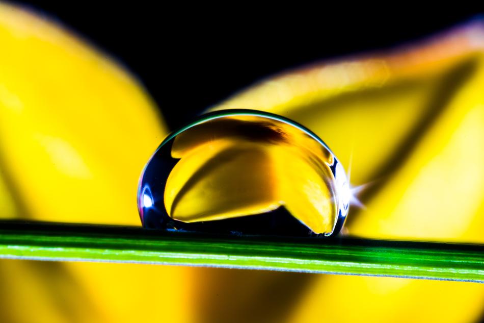 Drop Of Water yellow green background