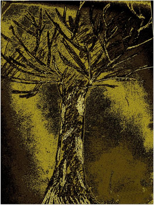 tree green art