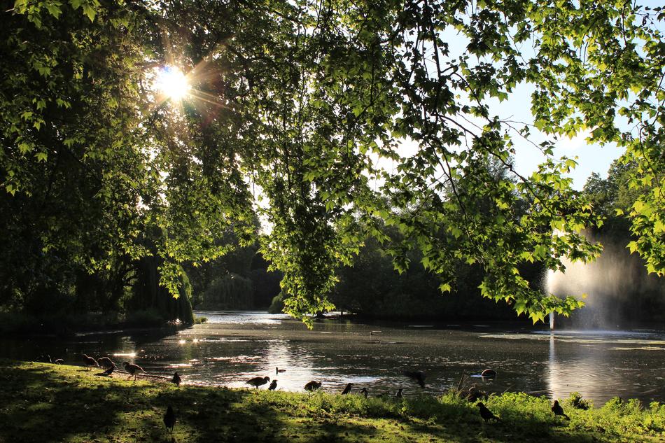Lake Water Sun