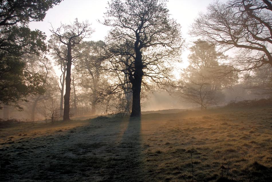 Misty Morning Sunrise