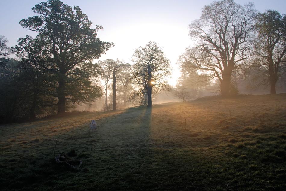 Misty Morning Sunrise