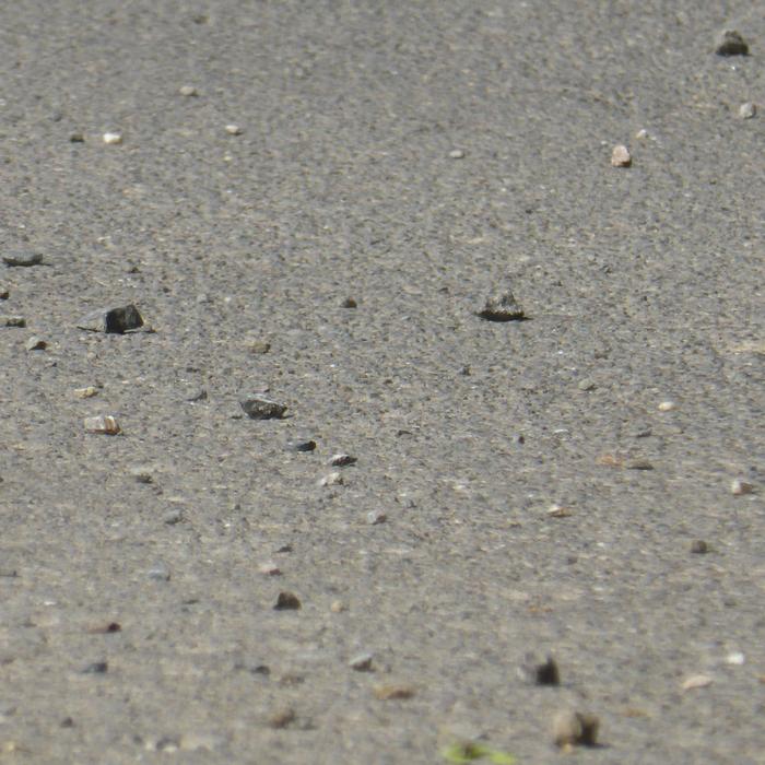 Asphalt Gravel Stones