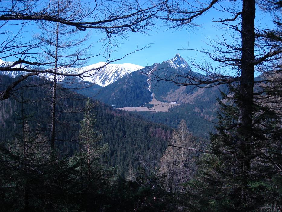 Poland Tatry Murowaniec Masovian