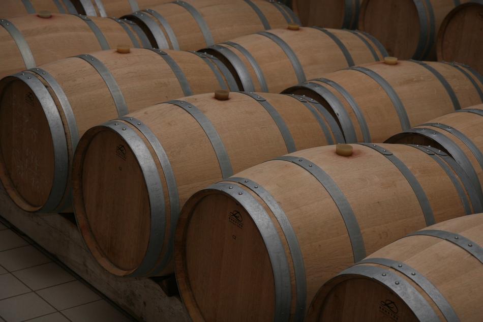 Winery barrels Bordeaux