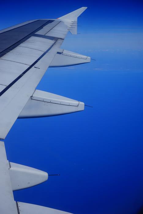 Aircraft Wing Empennage
