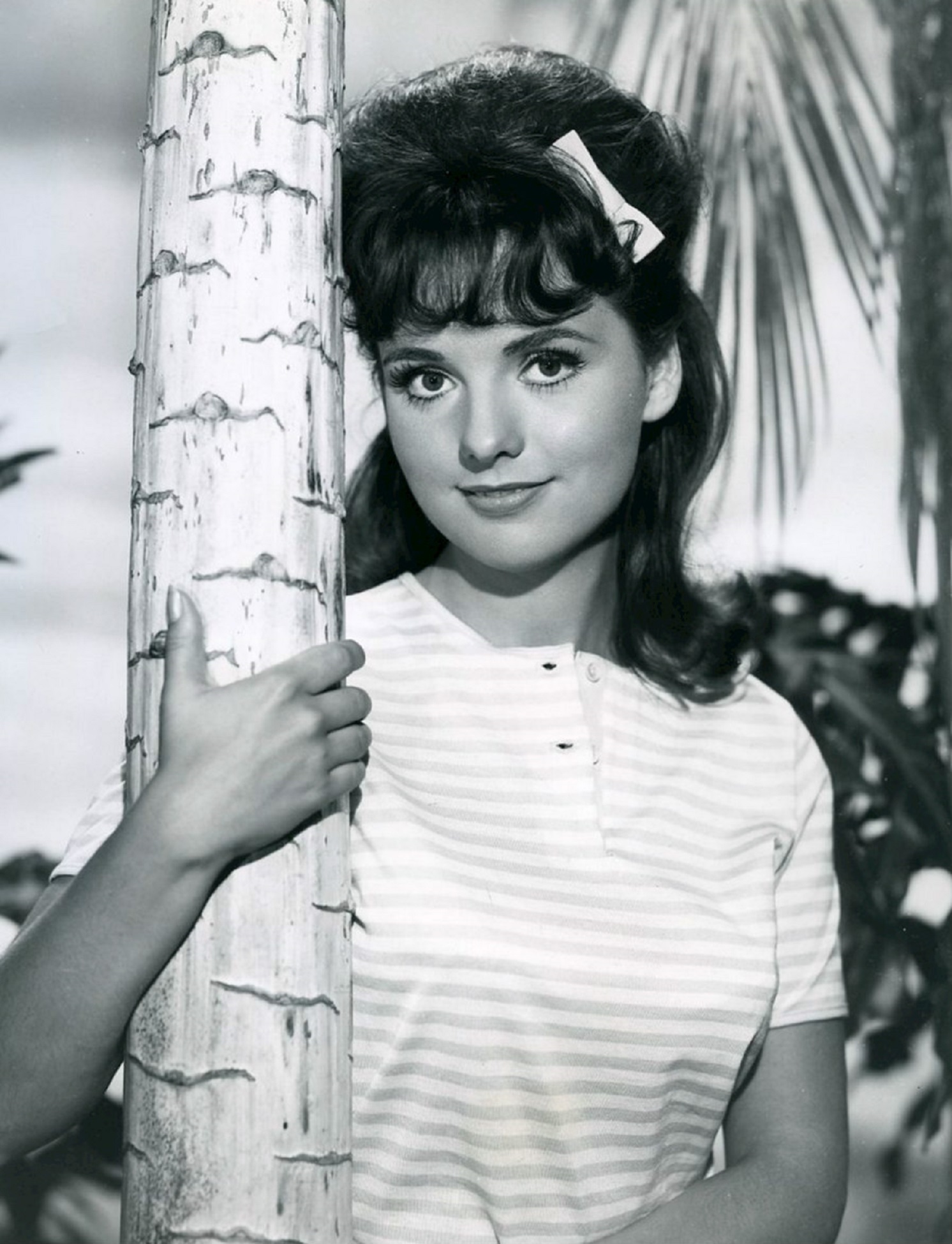 Dawn Commercial Actress