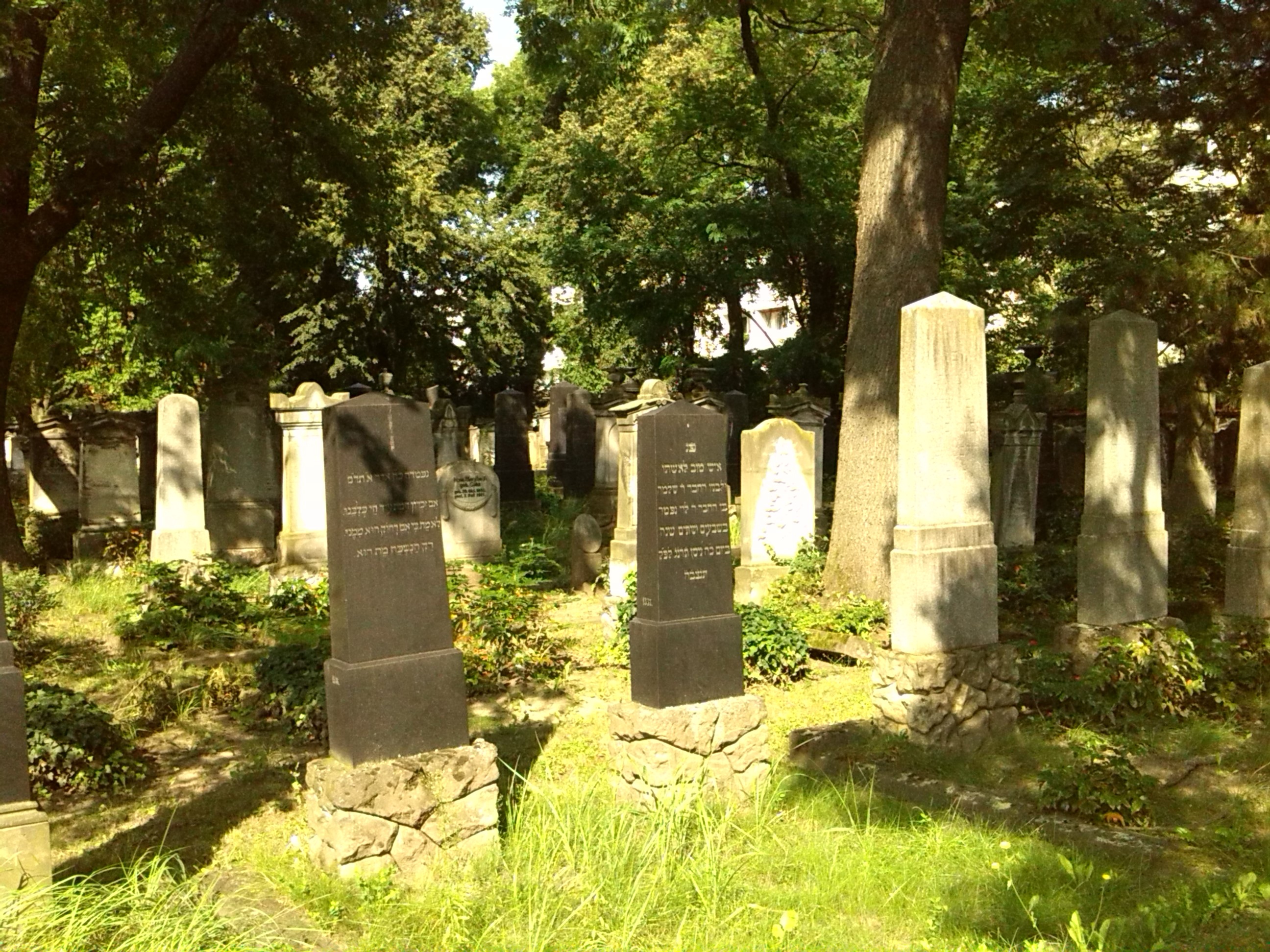 Кладбище Магдебурге