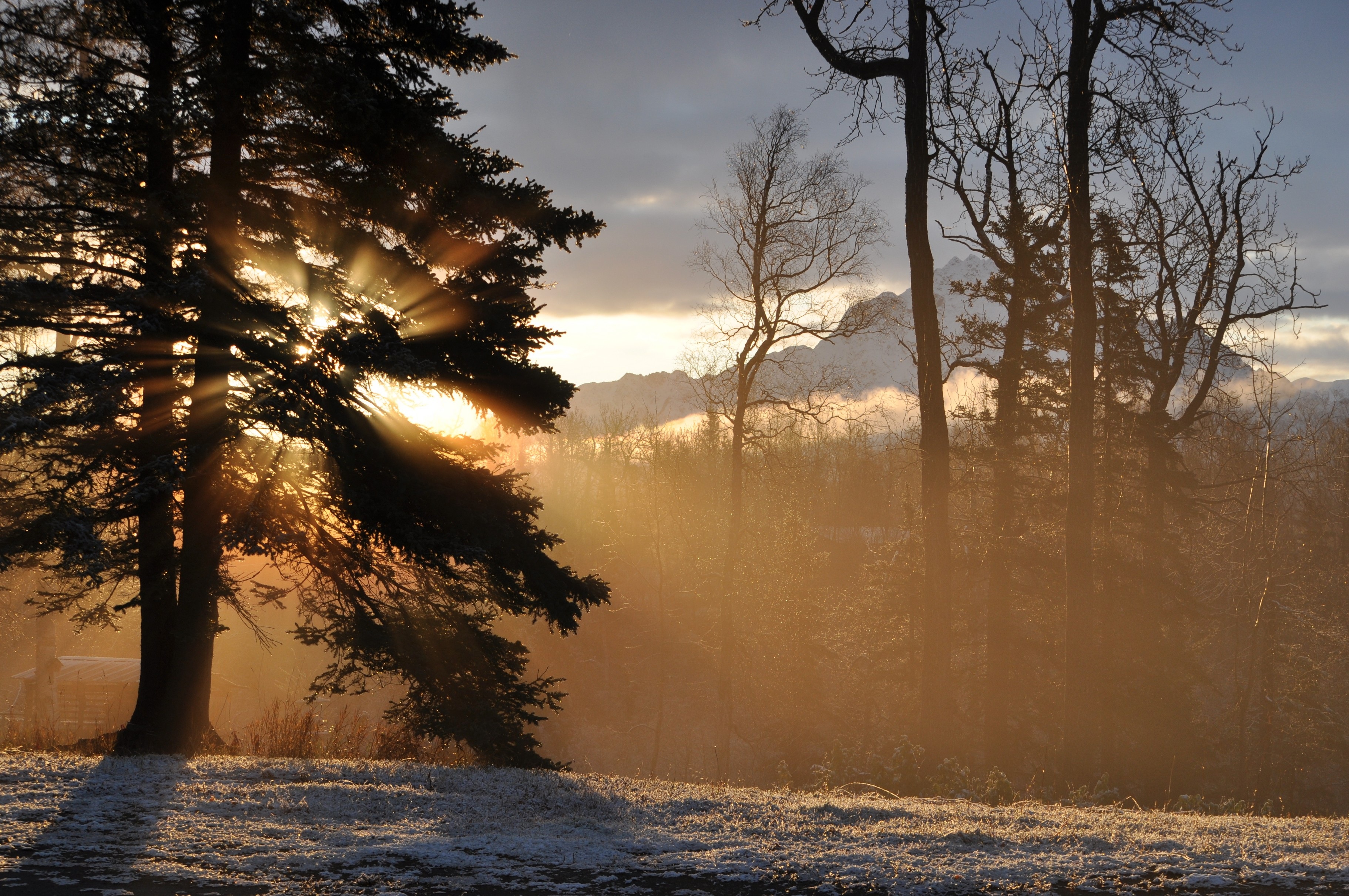 Солнце рано. Восход рано. Early Sunrise.