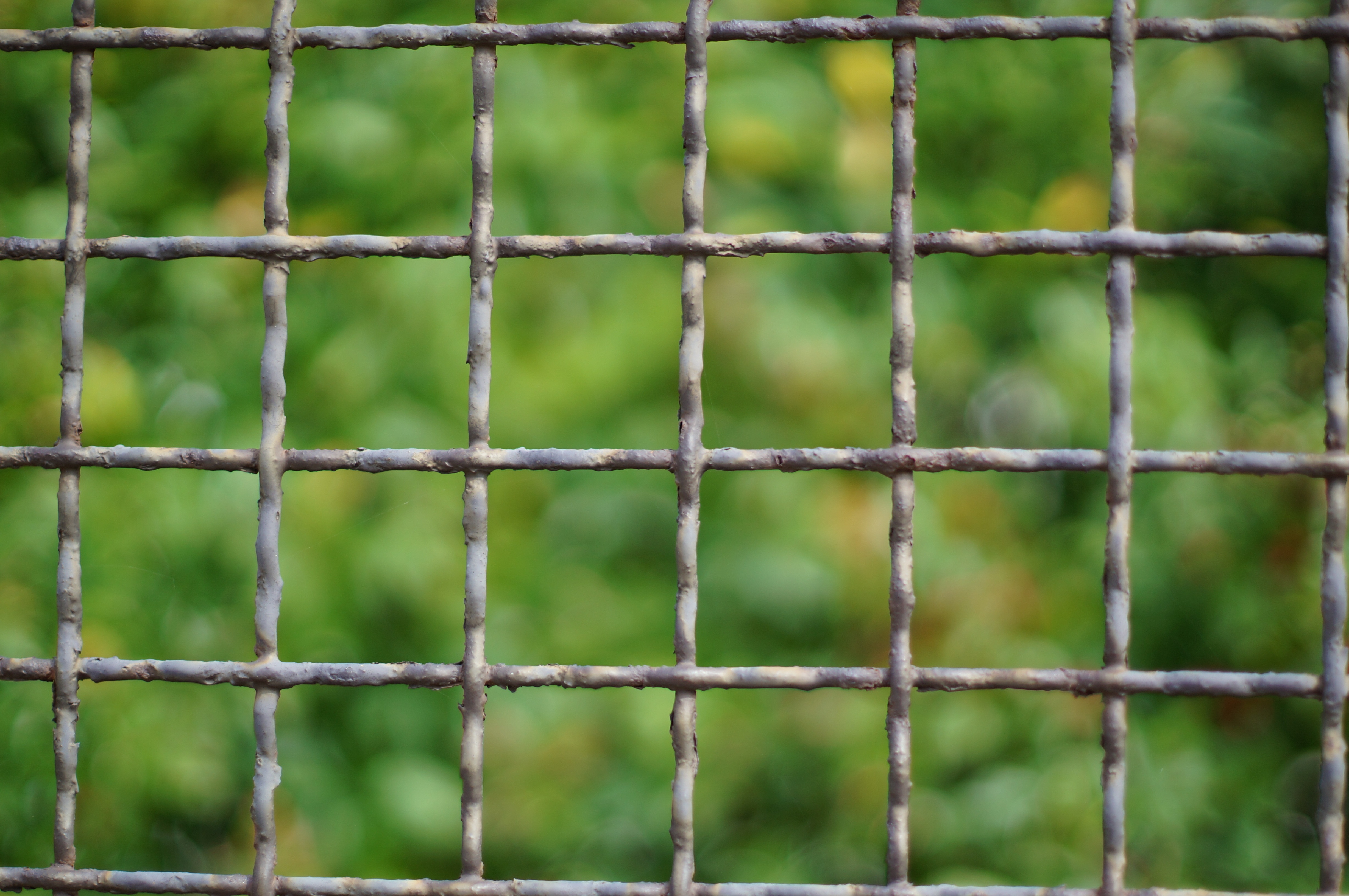 Забор сетка квадратами