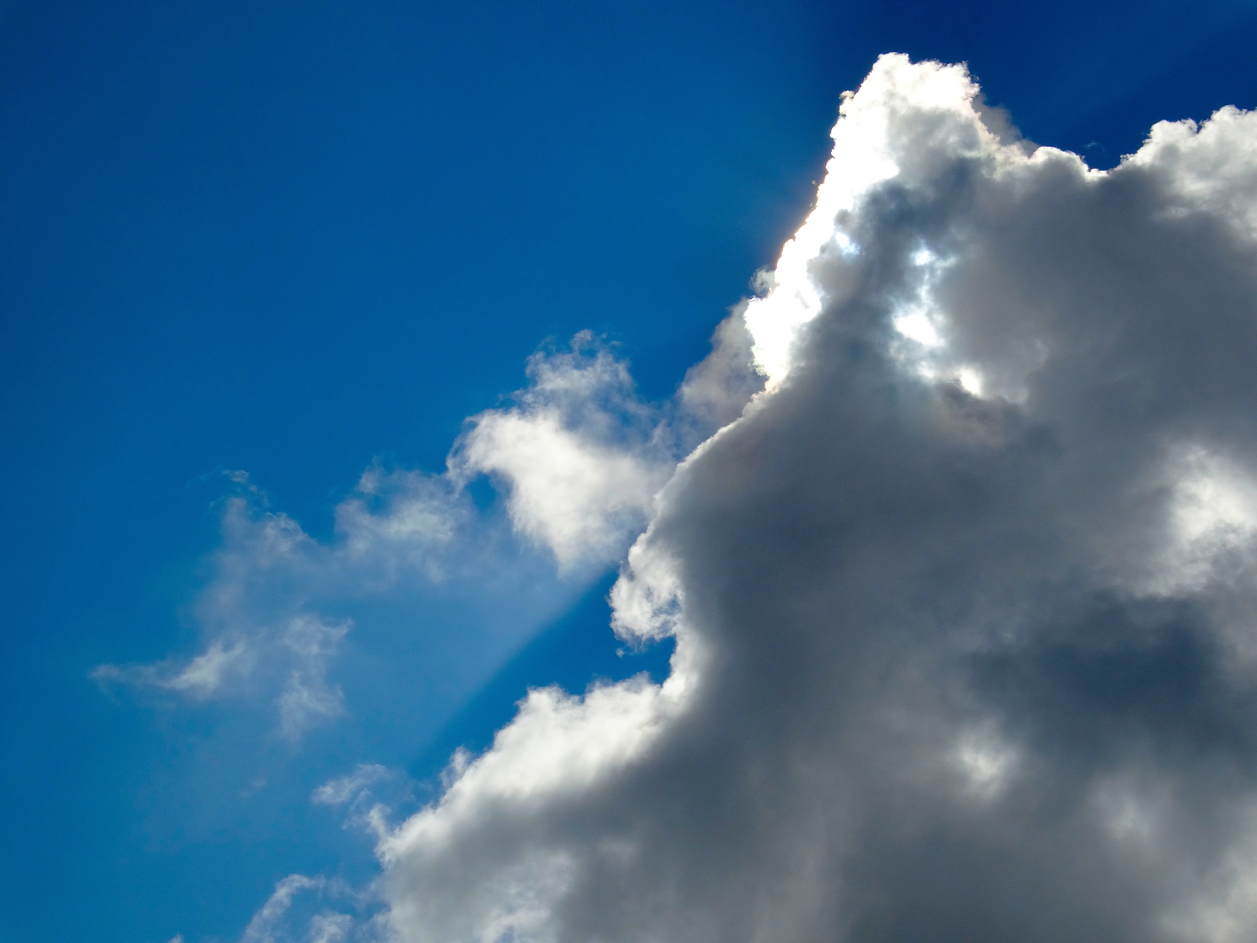 Sunny Cloudiness sky free image download