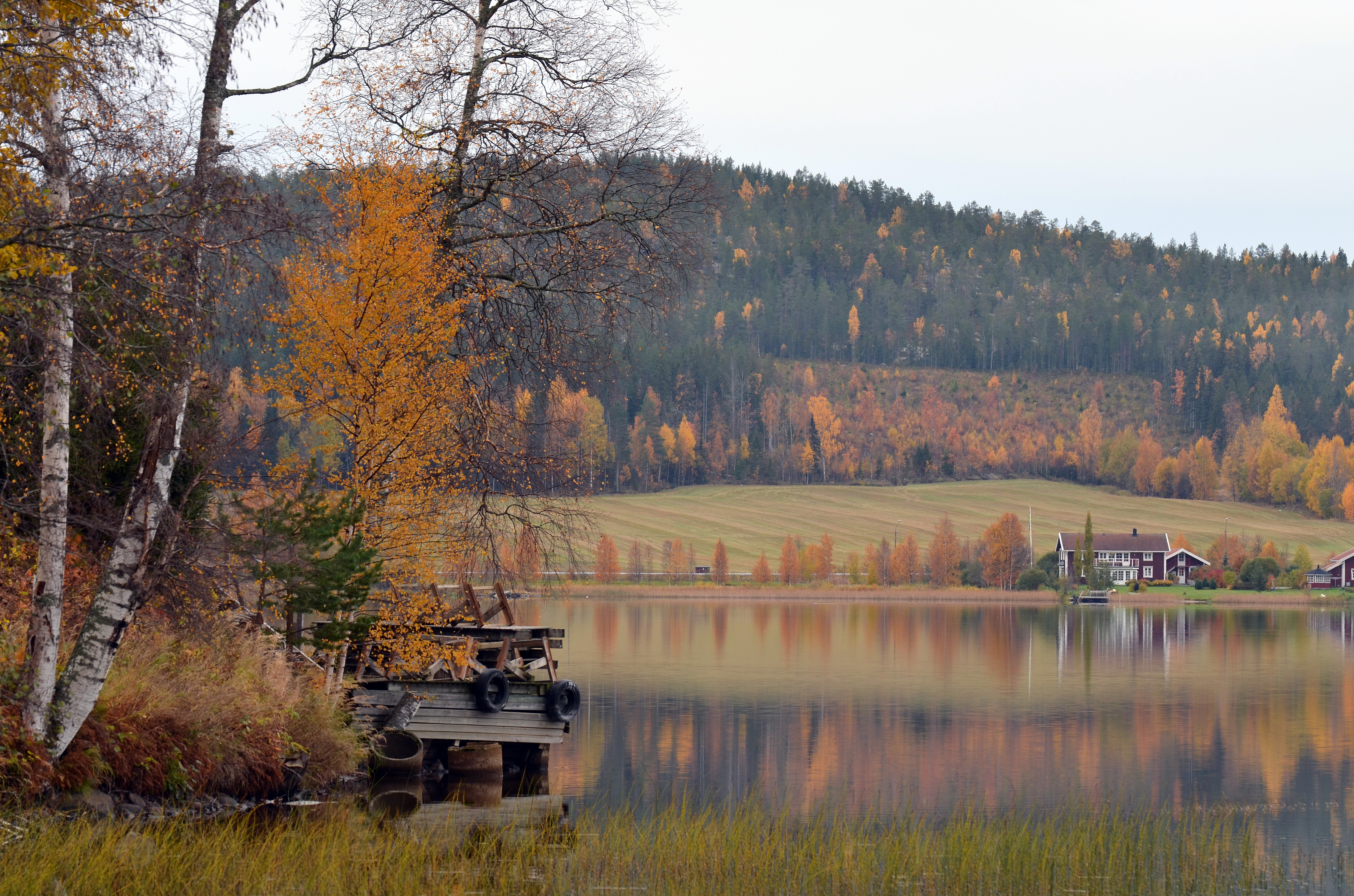Осень в Швеции природа