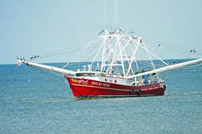 Shrimp Boat Fishing