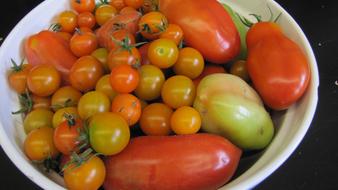 Tomatoes Summer Harvest