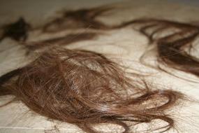 Barber Hair