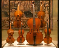 Display Case Violins Violas