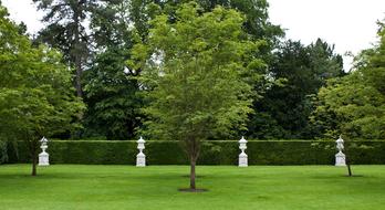 Stone Urns Lawn
