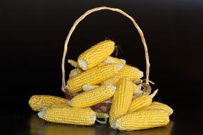 Maize Mealies Corn