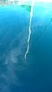water Mirroring of Mast Sail