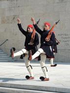 Goose-Step Residential Guardians