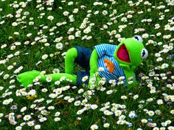 Kermit Frog on daisy Meadow