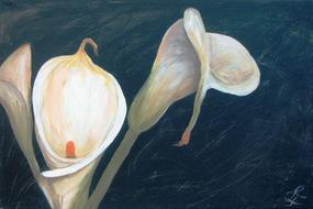 Beautiful and colorful, acrylic painting of the blossoming calla flowers, clipart