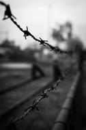 Barbwire Barbed Wire