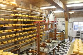 Cheese Dairy