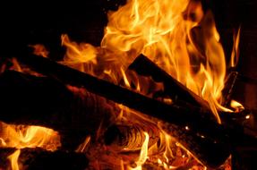 Fire Bonfire
