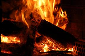 Fire Lena Flames