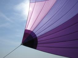 Sailing Sailboat