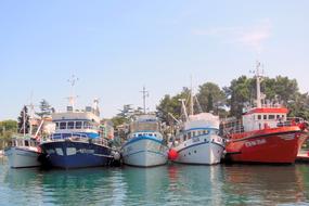 Krk Port Croatia Island Of