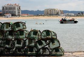 Cages Fishing