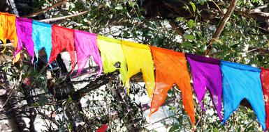 Colorful Flags Celebration