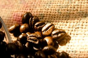 handful of coffee