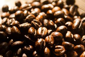 bright coffee beans