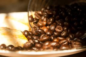 caffeine brown beans