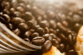 Coffee beans in sunshine