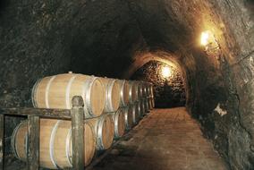 Winery Wine Cave Ismael Arroyo