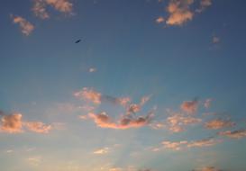 Sky Pink Clouds Evening