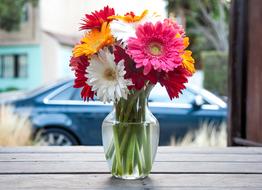 colorful Vase Flowers