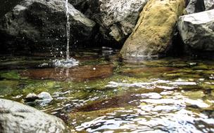 Water Drop