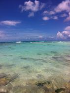 The Sea Crystal Clear